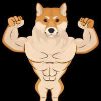 Profile picture of ALPHA SHIBA