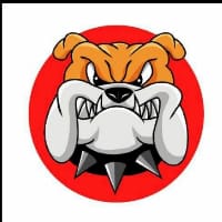 Profile picture of Bull dog inu